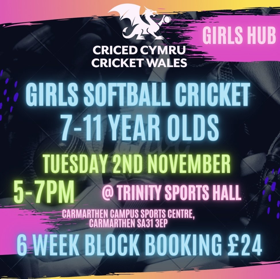 Carl Holding (Cricket Wales) tweet media