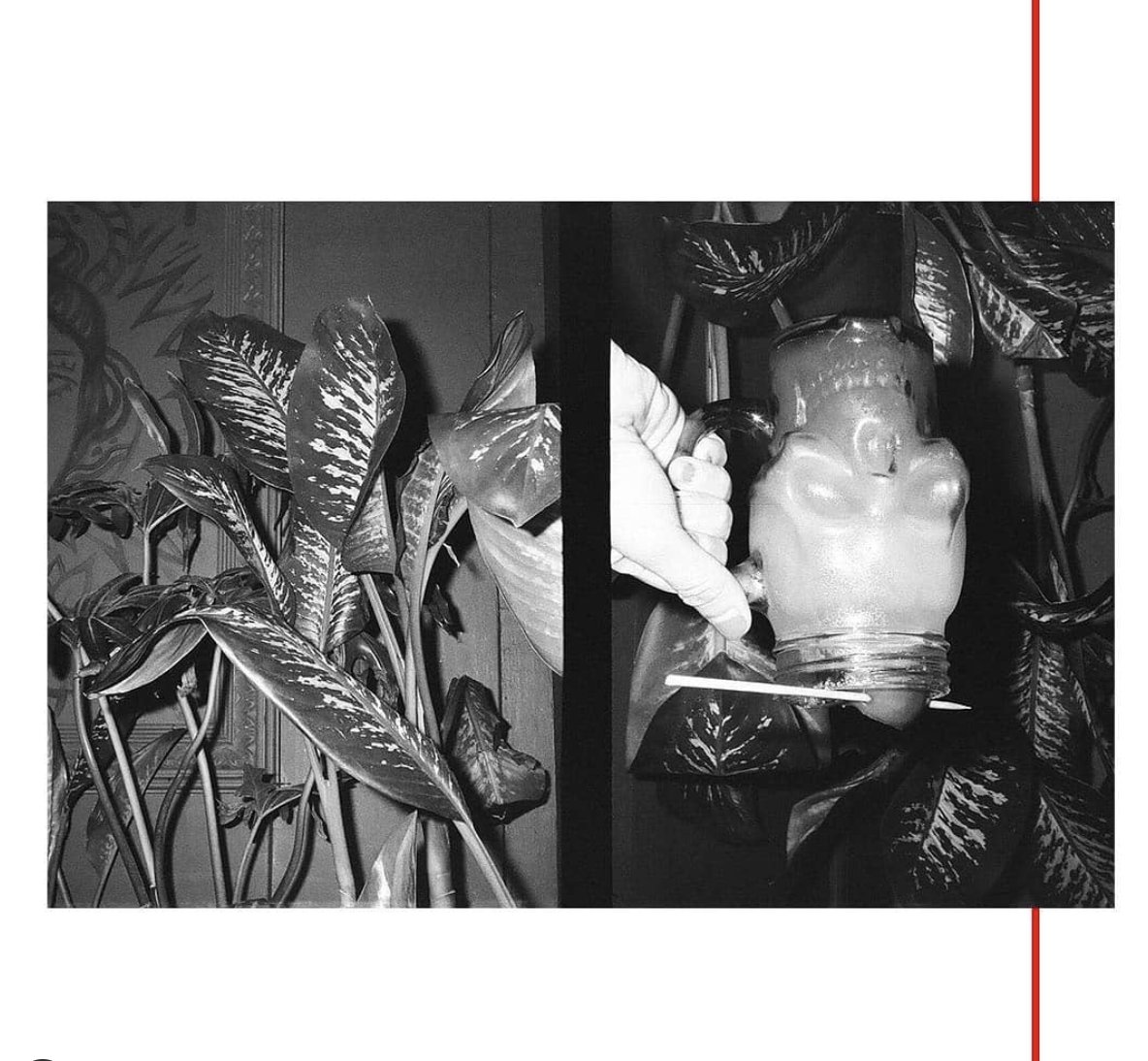 thisisastromag's tweet photo. #Throwbackweek
You can view Ennuh's (@ennuhchew ) project "Anachronisms: An ode to spaces sacrificed in the pandemic" and the rest of the exhibition on https://t.co/lMTZEkzW5B https://t.co/DBLGUcmZNP
