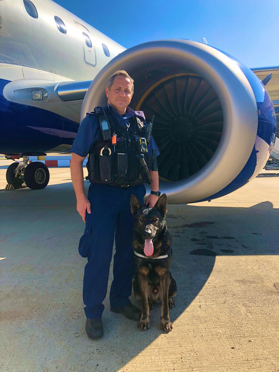MPSCityAirport's tweet photo. PD Max has made quite the impression on all @LondonCityAir. Getting straight to work on our #ProjectServator patrols. ‘Unpredictability’ is key to our deployments, where are everywhere! #PoliceDogs #workingdog #dogjob #eyesandears #keepingyousafe https://t.co/5mzCXFUqtF