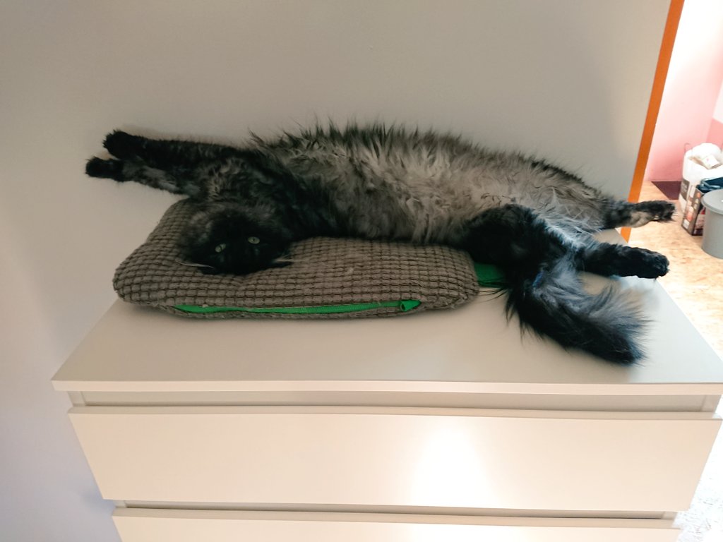 4koori's tweet photo. chill. https://t.co/m2csJgYog5