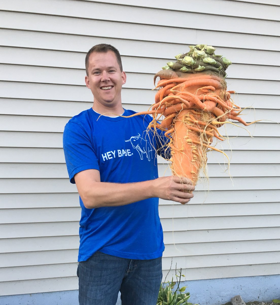 Людей в мире растет а. Самая большая морковь в мире рекорд Гиннесса. Кристофер Квалли морковь. Самая длинная морковь. Гигантская морковь.