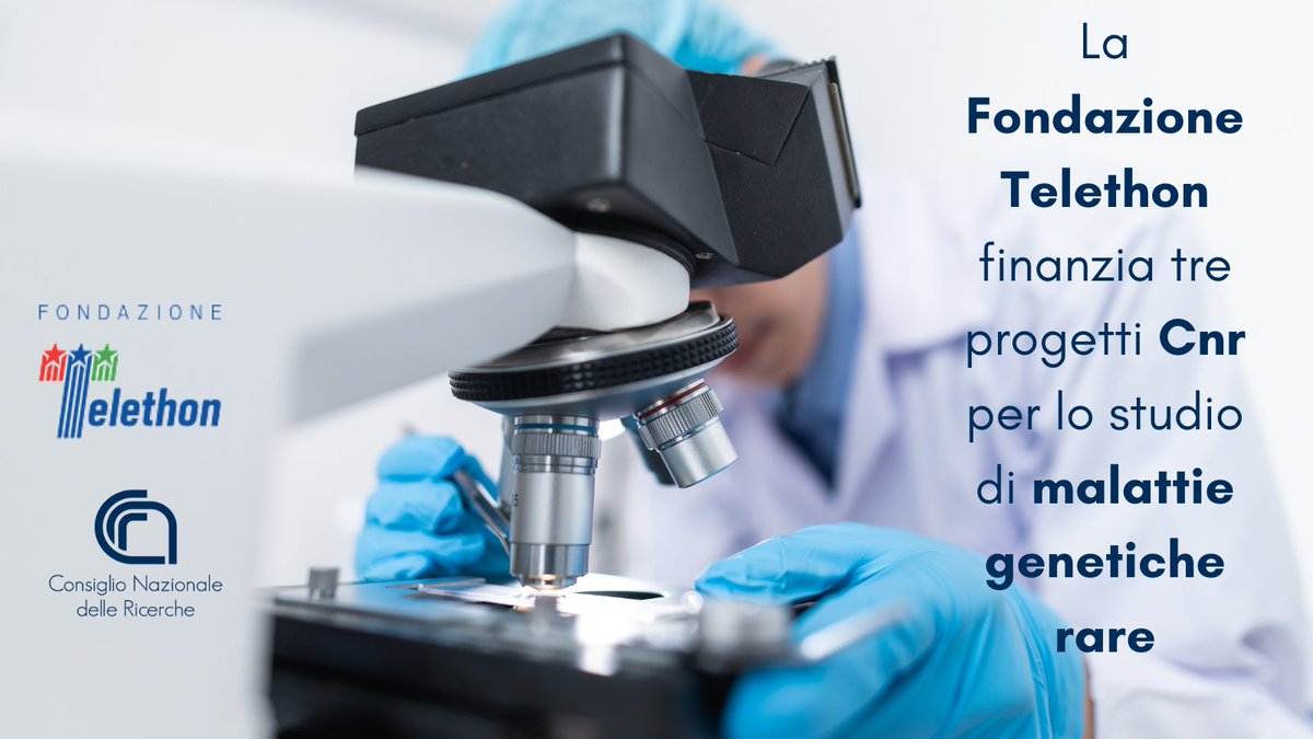 Grazie al bando #SeedGrant, @Telethonitalia finanzia 3 progetti #Cnr per lo studio di #malattiegeneticherare coordinati da:
🔬👩‍🔬 <a href="/EDeLeonibus/">Elvira De Leonibus</a>, #Cnr_Ibbc e <a href="/Tigem_Telethon/">Tigem Telethon</a> 
🔬👩‍🔬 Venturina Stagni, #Cnr_Ibpm 
🔬👩‍🔬 Federica Viti, #Cnr_Ibf
Leggi di più👇
cnr.it/it/nota-stampa…