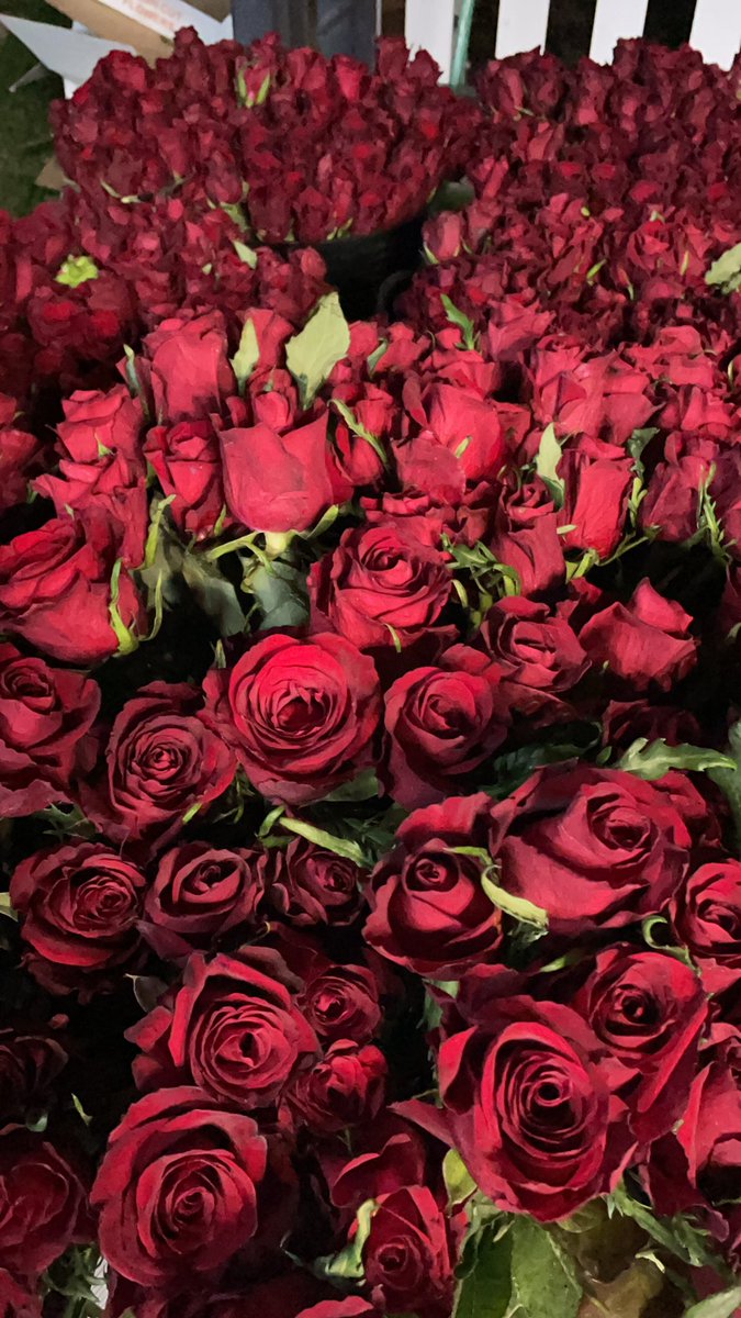 Brony Edwards tweet media