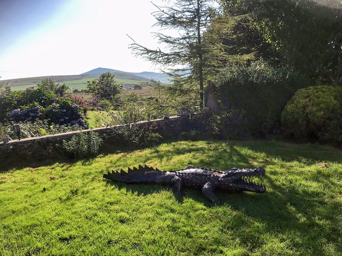 WOW - thanks so much to Ann in Caernarfon for sharing this pic of her recently delivered croc enjoying some glorious views of Snowdonia. 😍
"Thank you Pangea - he is amazing!" - click to see our current croc range with more arriving very soon 👉pangeasculptures.com/product-catego…