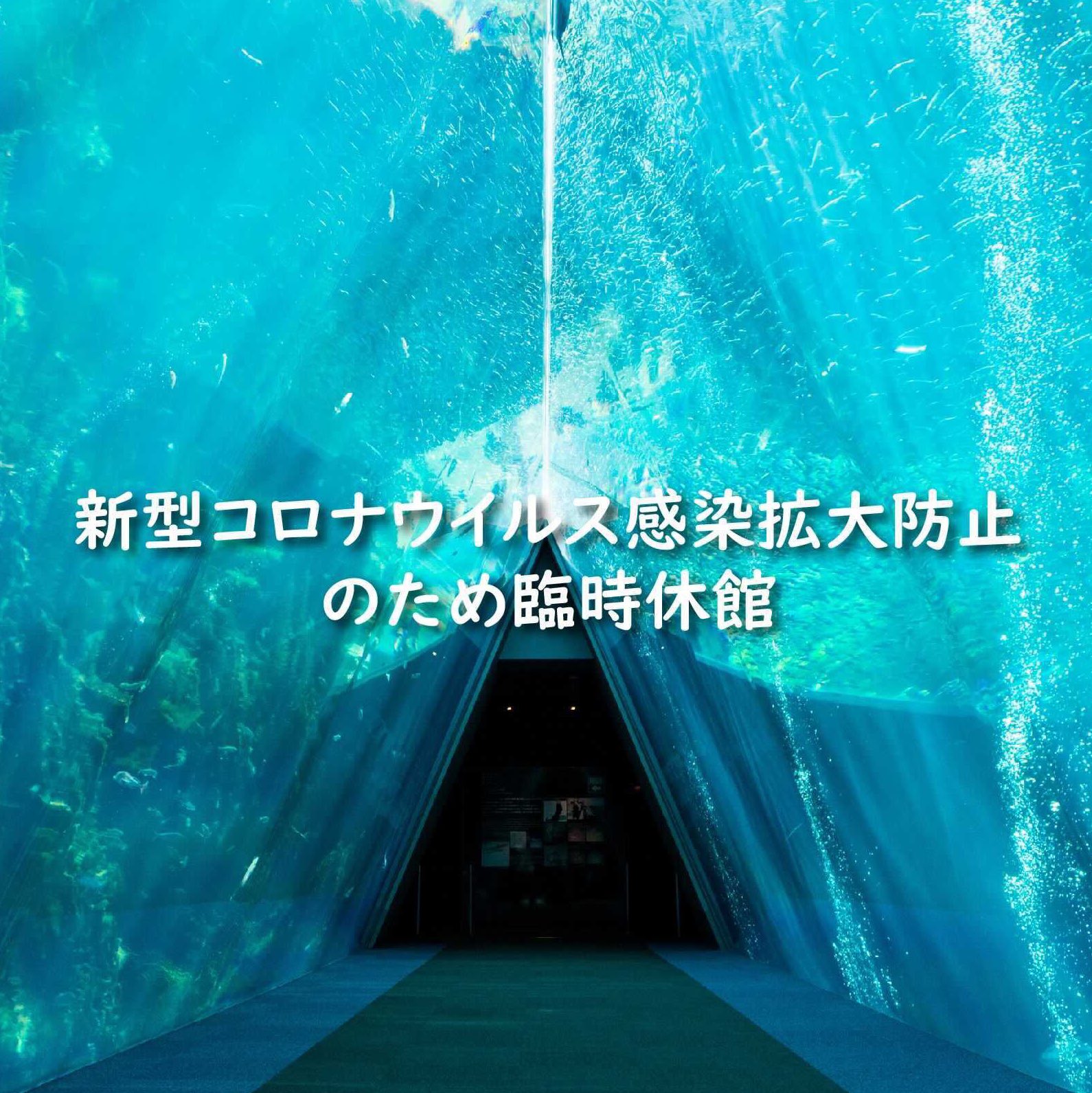 公式 アクアマリンふくしま 臨時休館 福島県のまん延防止等重点措置期間の延長が決定されたことから 休館期間が延長になりました 休館期間 21年8月7日 土 9月30日 木 休館中の水族館の様子は引き続きsnsで発信いたします アクアマリン