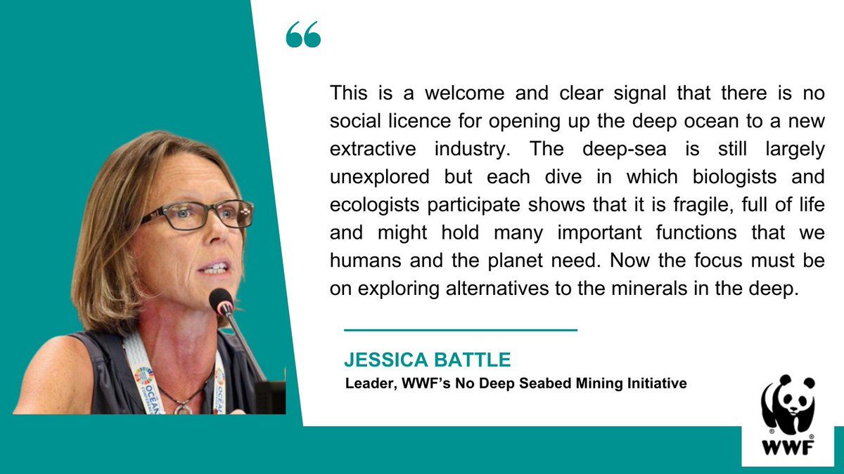 wwf_media's tweet photo. Conservation body @IUCN calls for global moratorium on deep-sea mining. Story by @kanupriyakapoor 
https://t.co/QD3iTo9Ruw

#NOSeabedMining https://t.co/oLXGaGioAU