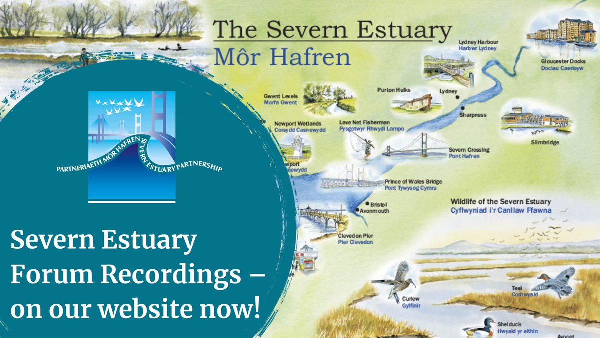 SevernEstuary's tweet photo. Did you miss our Severn Estuary Forum this year? Don’t worry – we recorded all the sessions, and they can be found on our new website at https://t.co/qWVNdZNWJE
#25YearsofSEP #SevernEstuary #SevernEstuaryPartnership https://t.co/3S4ePa5cES