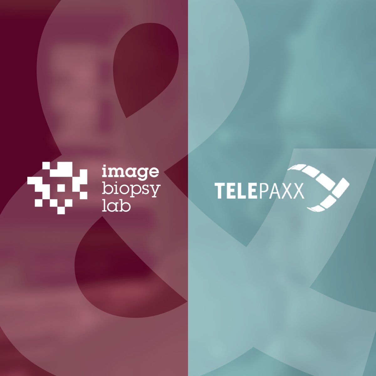 ImageBiopsyLab's tweet photo. ImageBiopsy Lab further expands its commercial traction in the DACH region by signing a commercial agreement with Telepaxx, one of the leading medical archiving providers in Germany.
#IBLab #BeyondDiagnostics #AI #medicalimaging https://t.co/OESOXOqyQH