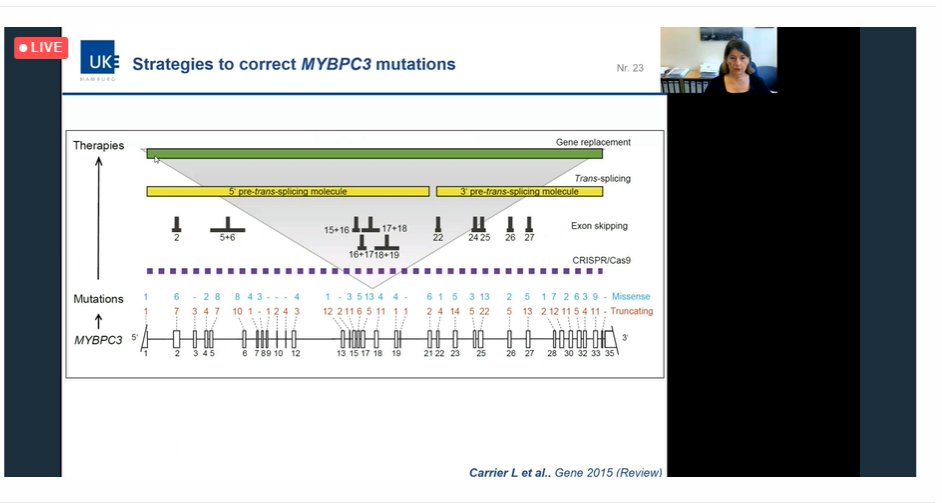 🧬Gene therapy: 2021 update MYBPC3 most prevalent gene in HCM, mostly truncated MYBPC3 deficiency in iPSC➡️lower force, shorter contraction & relaxation times Therapeutic strategies: CRISPR-Cas9, Exon skipping, trans-splicing, Gene replacement Thanks Lucie Carrier @IacopoOlivotto