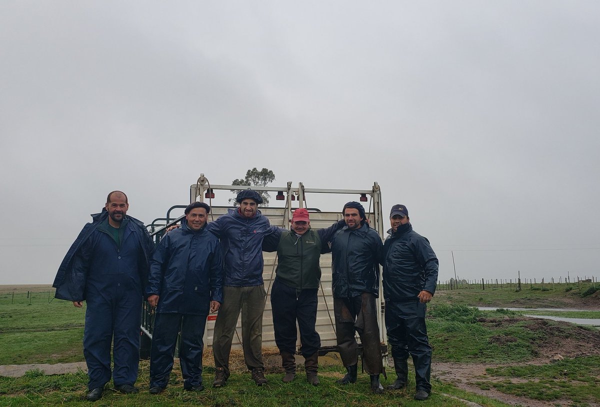 El equipo a punto de salir para <a href="/ExpoPrado/">Rural del Prado</a> 2021. 

Con lluvia, temporal y viento. Parte de lo que nos toca en el día a día del trabajo en el campo. 

#HerefordUruguayo #LaRazaPais #LOSTOROS #LosTorosdeAlfonso