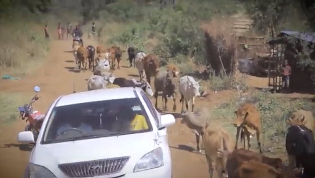 IamDrSuudi's tweet image. Every time I look back at the making of #ItsOverVideo. I a amazed at how much He can do when we trust Him. 

How can you describe how God has been there for you ? 

youtu.be/OyIfmnE09Sc