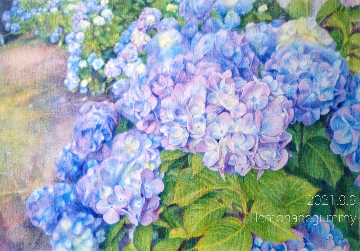 れもんぐみ 個展開催中 花靄 21 9 9 Kmkケント紙 ポリクロモス色鉛筆 5月末に仕上げた状態 画像右 から 納得いくまで加筆しました 制作工程で見えてきたものがたくさんありました 9 18からの栃木での企画展に出品いたします 過去絵と現在絵を