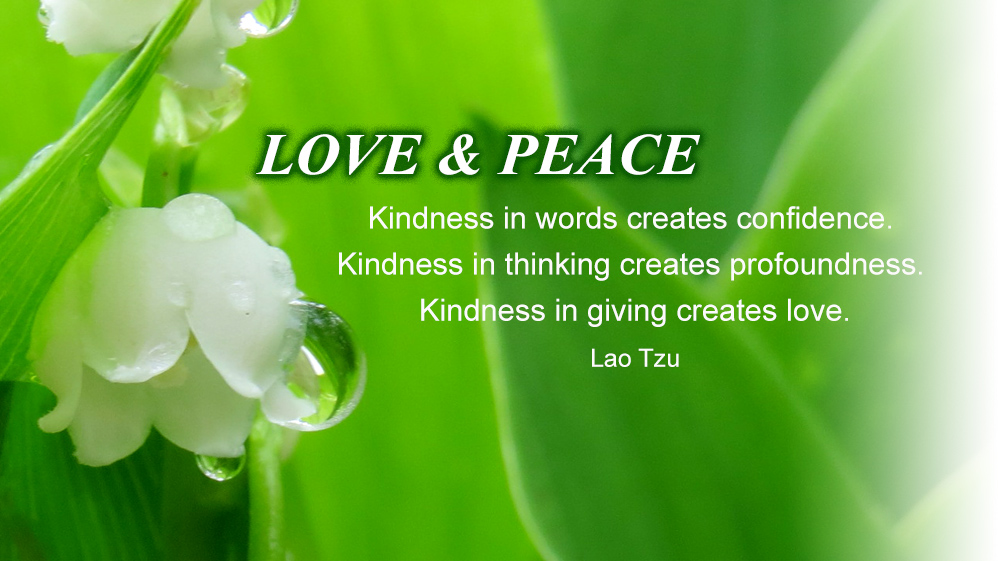 Kindness in words creates confidence. Kindness in thinking creates profoundness. Kindness in giving creates love.💗💗💗 ~ Lao Tzu