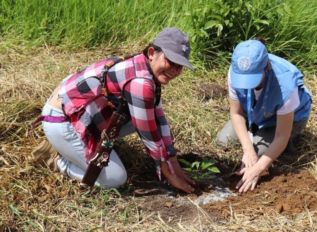 The creative efforts of @MisionONUCol to support Colombia's peace process highlighted as @UNDPPA thanks donors for voluntary contributions to its global work for peace. #SupportDPPA