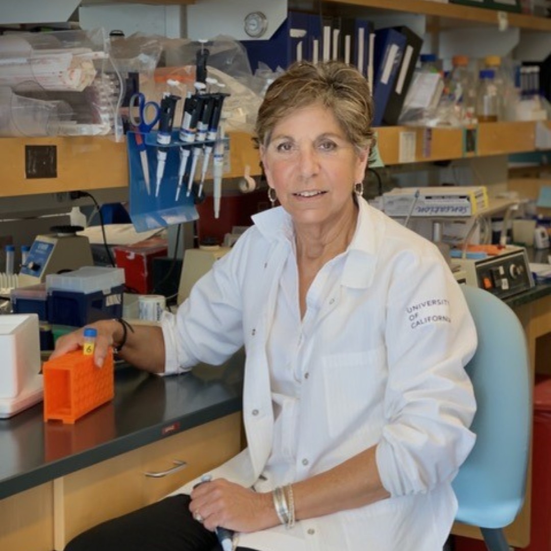 This week we highlight Dr. Diane Barber, Endowed Chair of the Department of Cell and Tissue Biology <a href="/UCSF/">UC San Francisco</a>, <a href="/aaas/">AAAS</a> Fellow, and former WICB President. Uniting disciplines across scales, her work helps us understand stem cells and cancer. More at tinyurl.com/zfw74nfu  #WICB50