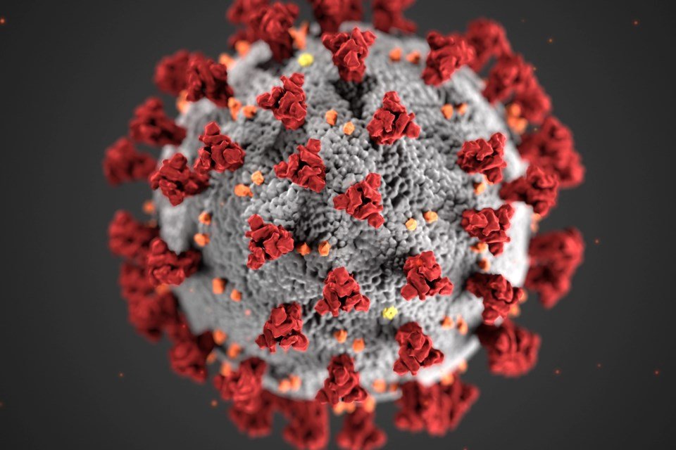 Four Guelph-area schools already dealing with COVID-19 cases bit.ly/38Uhho8