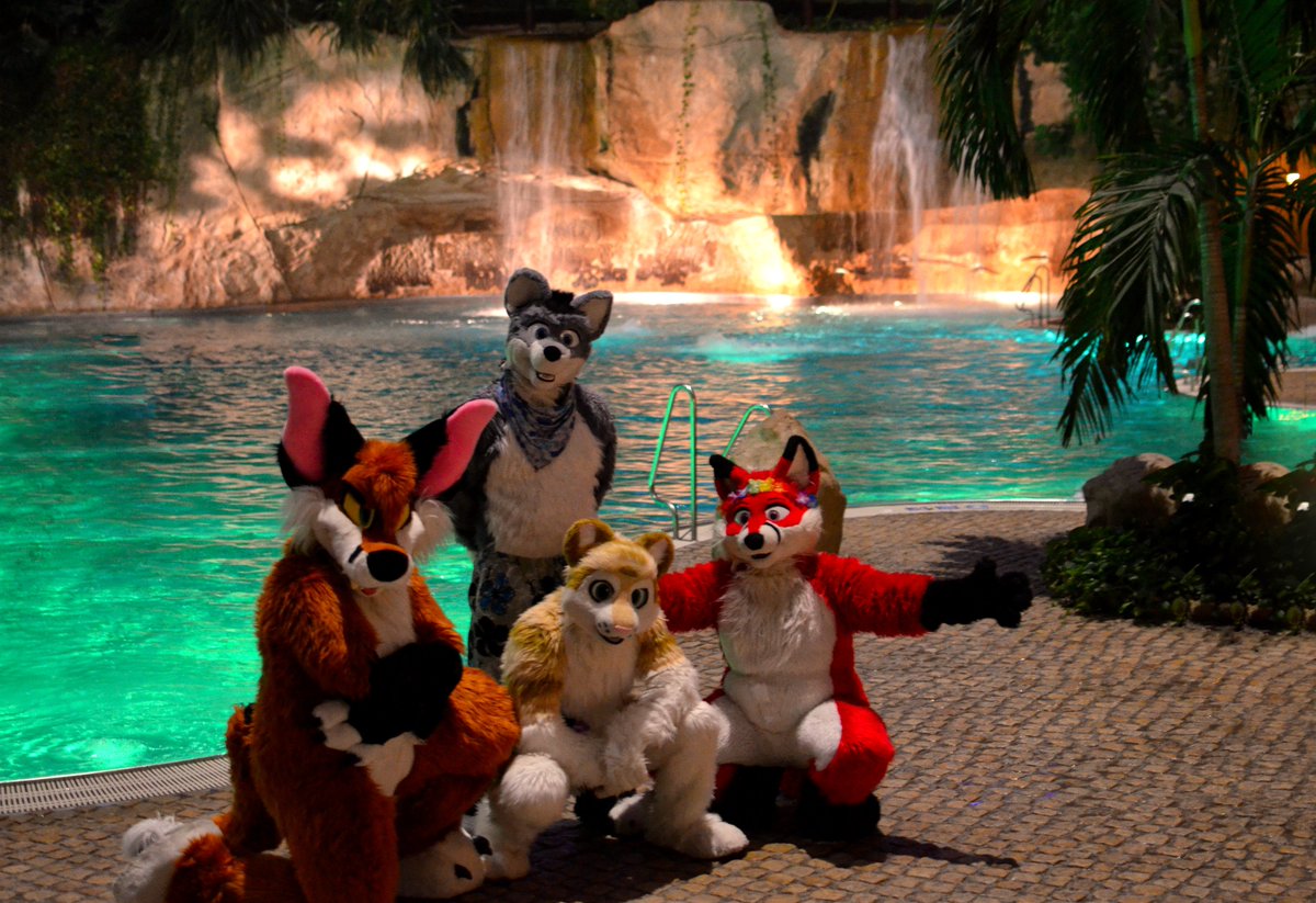 CaidaTigre's tweet photo. time for cooling down in the pool, join us!

🐺 @Arcothewolf 
left🦊 @AkiFoxx 
right 🦊 @Nanakifuchs https://t.co/fd7mGpsiYW