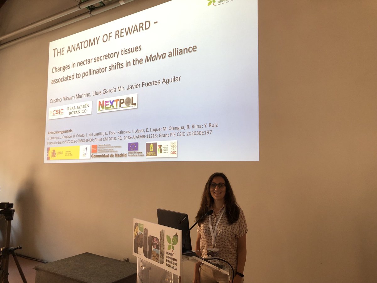javierfaguilar1's tweet photo. Done. Our first #Nextpol contribution to @OficialSebot Congreso Español de Botánica just brilliantly delivered by Cristina Ribeiro Marinho. @RJBOTANICO https://t.co/WT1YJgz9vO