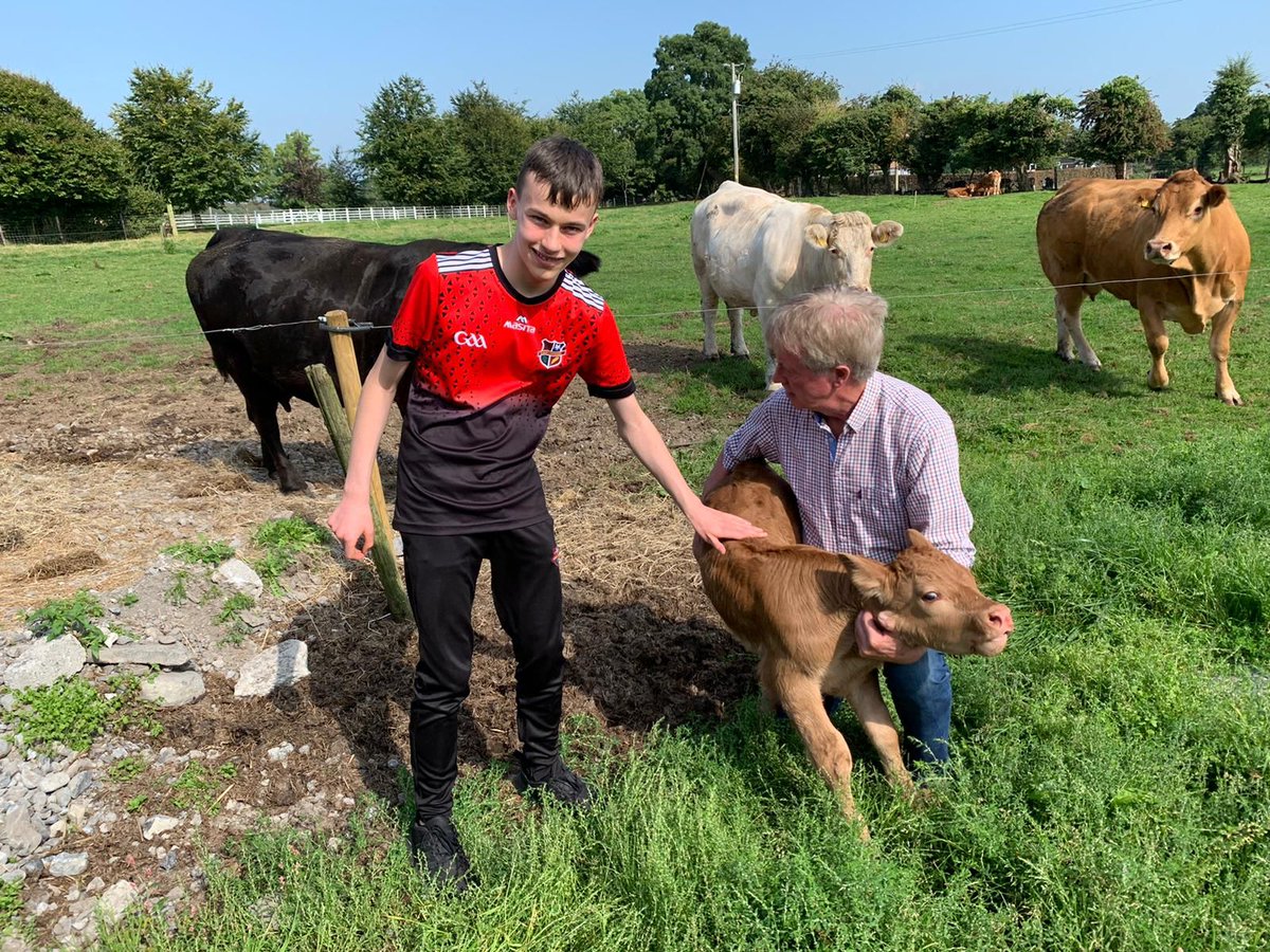 🐂🚜Field trip to Dalton's beef farm for our Laochra students as part of their Preparation for Work module <a href="/JCTL1LPs_L2LPs/">JCT L1LPs/L2LPs</a> with afternoon tea in the sunshine! Thanks to our former teachers Pat &amp; Ann Dalton, fostering the St Mary's spirit of #togetherness <a href="/offalylocalnews/">Offaly Local News</a>