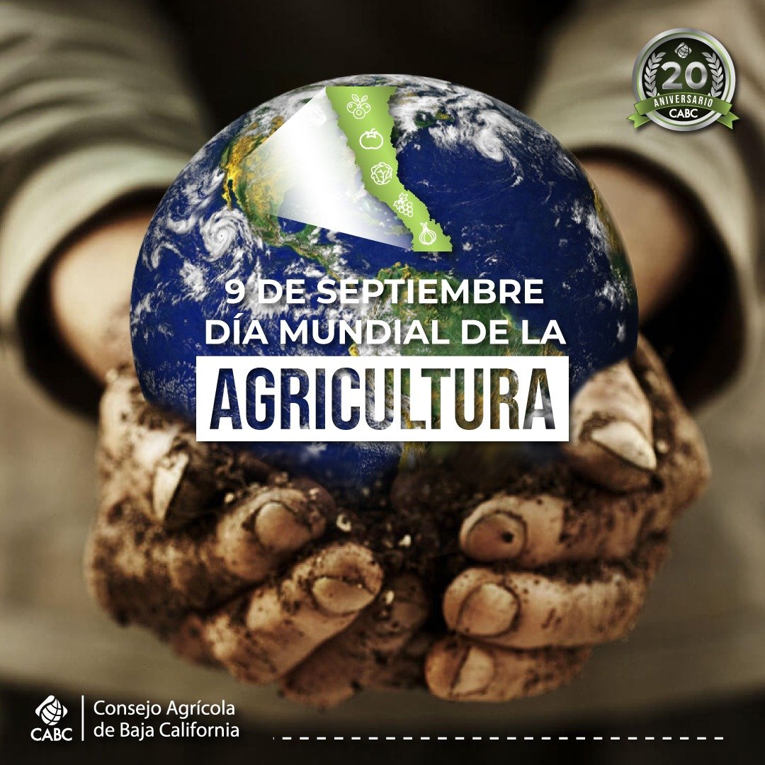 Consejo Agrícola de Baja California tweet media