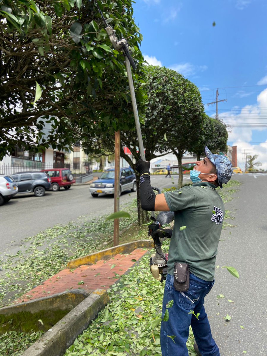 PortalQuindio's tweet photo. Nos interesa el entorno y valoramos la naturaleza como un recurso fundamental para la preservación de nuestros ecosistemas. Además es un placer embellecer nuestro ambiente 🌳🌼💚 https://t.co/J0dN9nLn9o