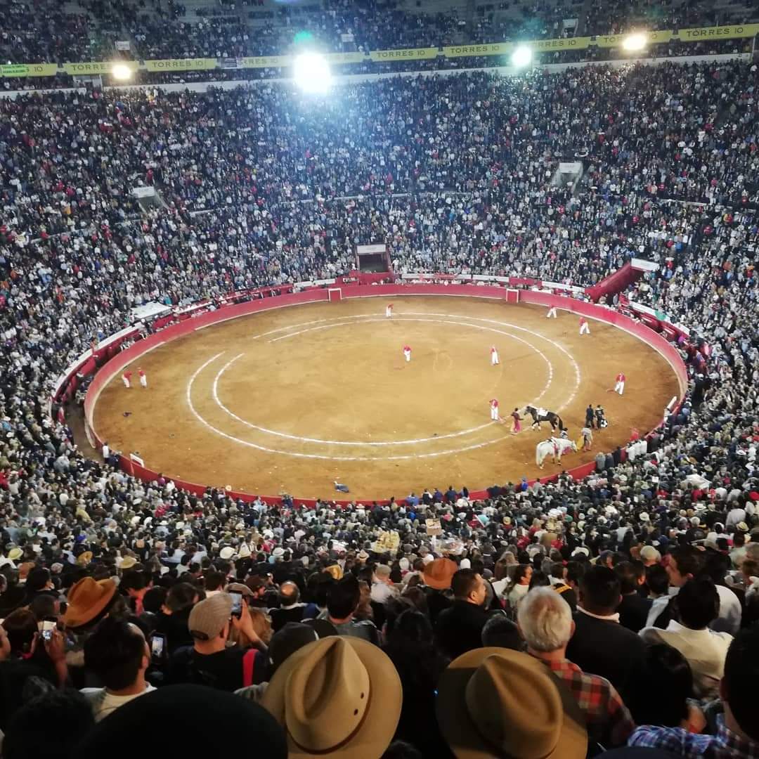 Luis_Llamass's tweet photo. Mientras que La Plaza México lleva más de un año cerrada, ya se presentó la primer iniciativa de está legislatura para prohibir la Tauromaquia en la CDMX. 

¿Y la empresa? ¿Y la afición de la Ciudad? https://t.co/dS7C1HyVES