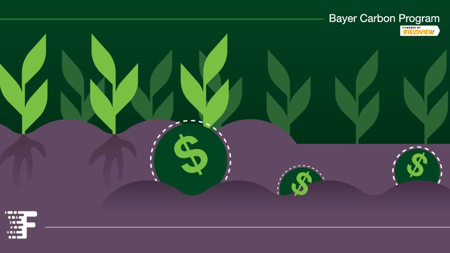 Healthy soil. Strong yield potential. Cash incentives. It’s easy to see why enrolling in the Bayer Carbon Program can pay off in more ways than one. Learn more at bayercarbon.com. #ConnectWithBayerCarbon