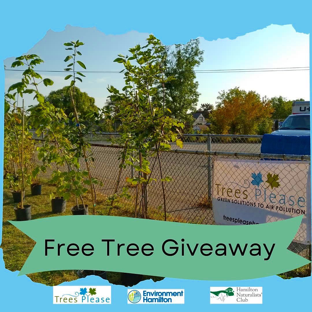 We are super excited to host a Fall Free Tree Giveaway with <a href="/EnvHamilton/">Environment Hamilton</a> There are 9 native tree species of different size classes 🌲🌳
🔗 For the tree list &amp; request form, follow the Trees Please Giveaway link in our bio. No room for a tree?  Help by spreading the word 🙏🏾🙏🙏🏼