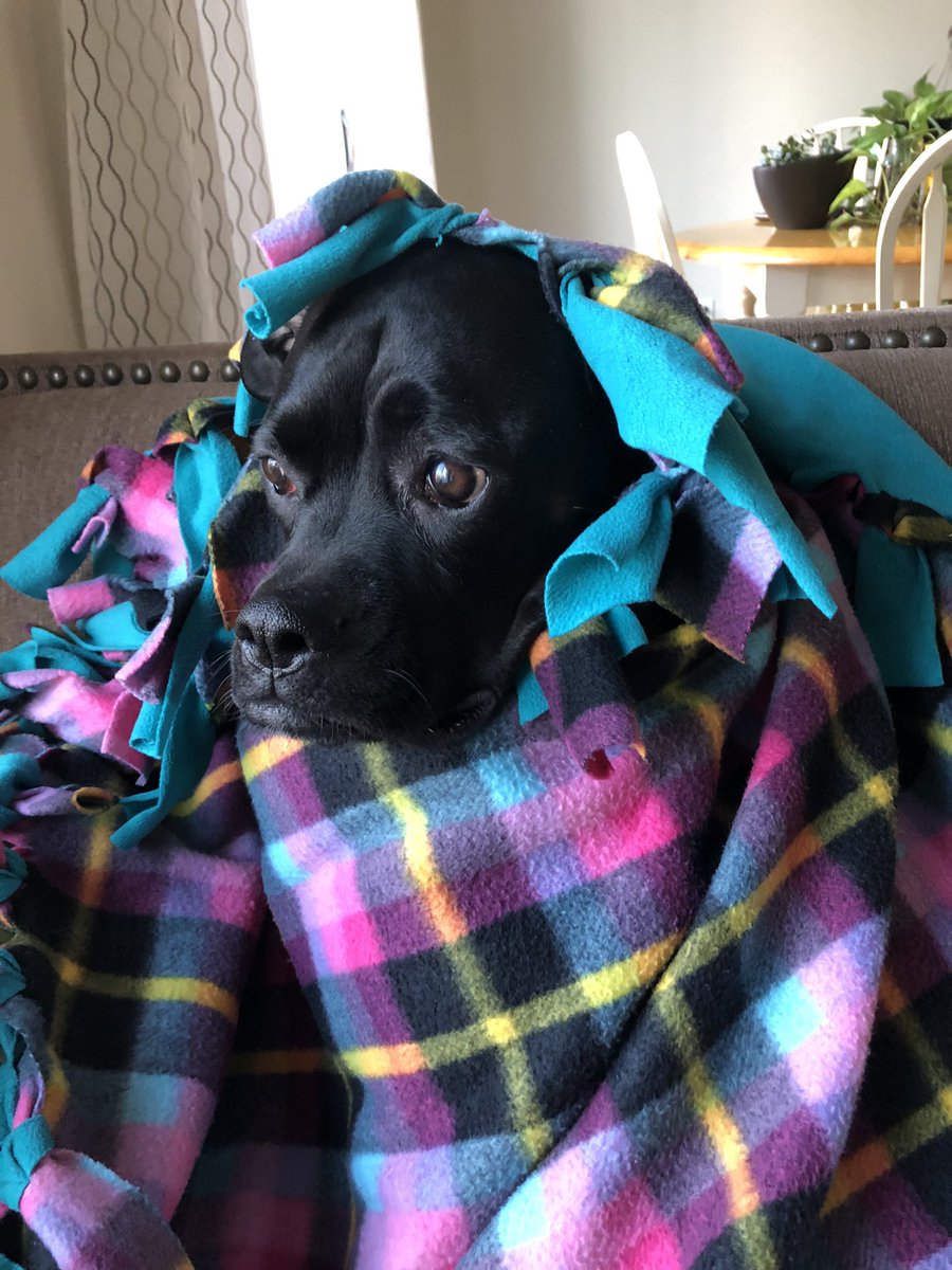 Keeping warm on cold CGY mornings! #maggie