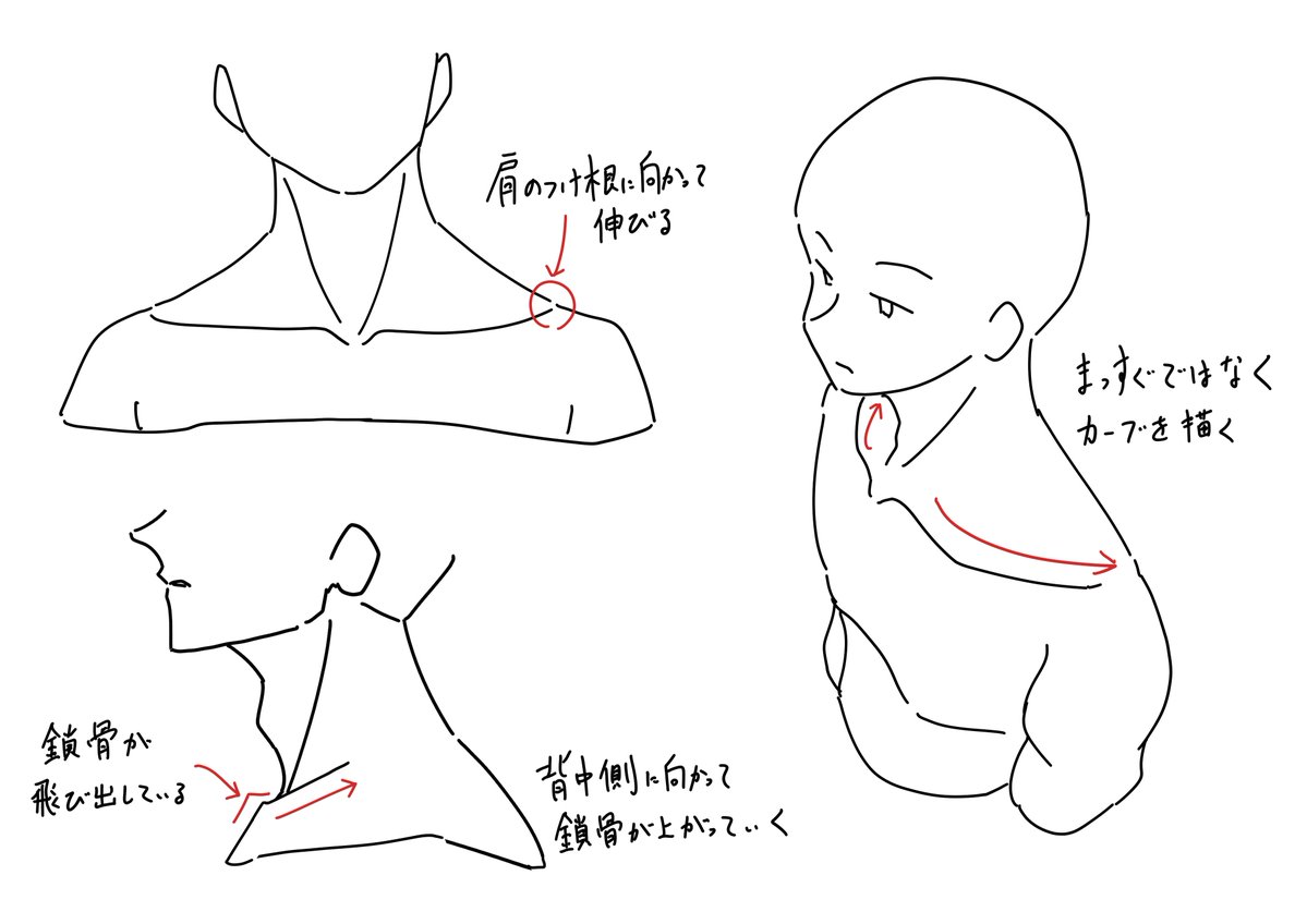 ふるいけゆうじ イラスト上達法 V Twitter 鎖骨を描くときのポイントです ふるいけゆうじ イラスト上達法 V Twitter 鎖骨を描くときのポイントです