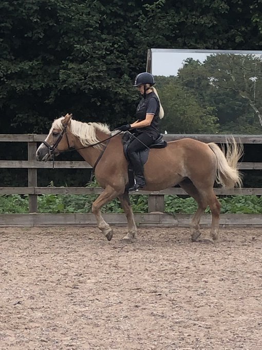 I had so much fun today getting back on a horse #Horses #horseriding #blondes https://t.co/ldYuhUj7A<a href="/tag/horses"class="tags"><span>#horses</span></a><a href="/tag/blondes"class="tags"><span>#blondes</span></a><a href="/tag/horseriding"class="tags"><span>#horseriding</span></a>
