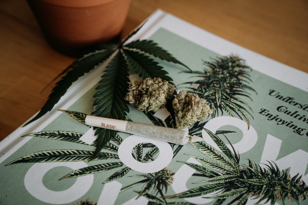Keeping your cannabis tolerance under control is easier said than done! 😪

So why not take a look at our 3 ways to help keep your tolerance under control - bit.ly/3gQJSiH

#educannza #cananbissouthafrica #cannabiscommunity #cannabistolerance