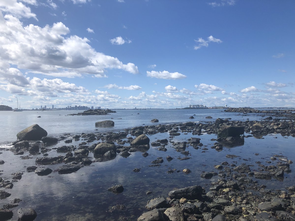 Big thank you to the <a href="/EnvSchool/">School for the Env.</a> for letting us tag along on their trip to Lovell's Island! We got to talk about beach erosion, explore the rocky intertidal, and try out ocean sampling techniques. Not a bad way to spend the day!