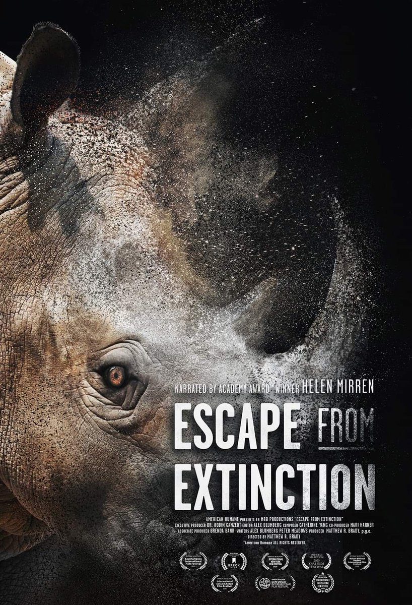 ❗ Calling all wildlife warriors! ❗

#EscapeFromExtinction is coming to the Picture House in York on September 21st! The film showcases the vital efforts zoos are undertaking to preserve species on the verge of disappearing.
Watch the trailer here: 
youtu.be/Zqx_3F_TyRw
