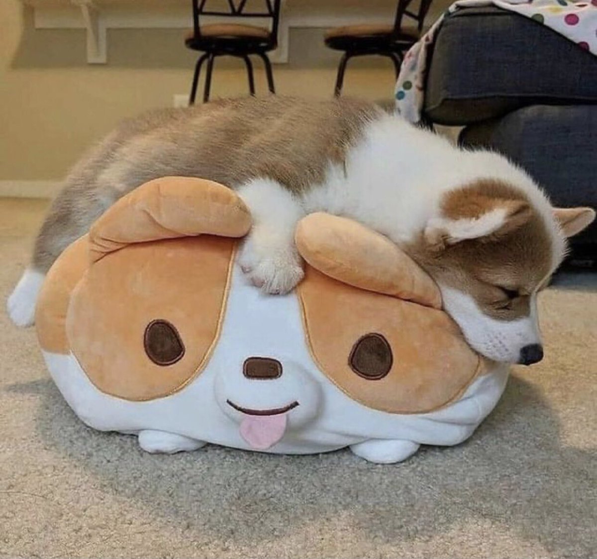 aeriss04's tweet photo. @B_hundred_Hyun Good night 🌱 https://t.co/1jeZUZfPjQ