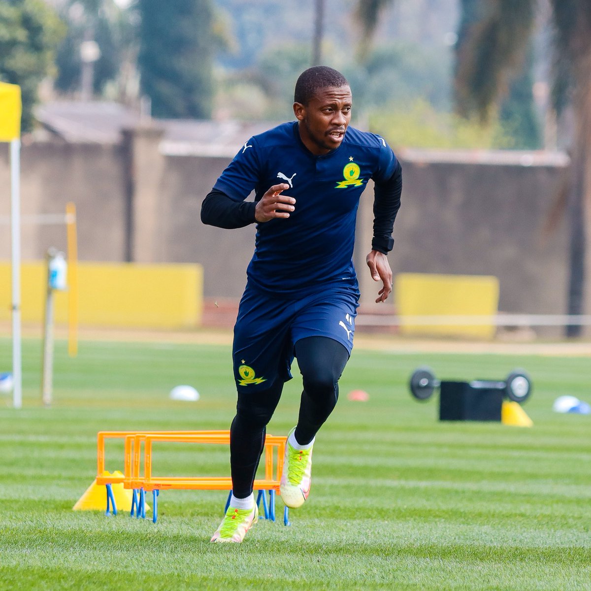 Masandawana's tweet photo. Gearing up for our return to #DStvPrem action! 💪

#Sundowns https://t.co/f577XhkWFE