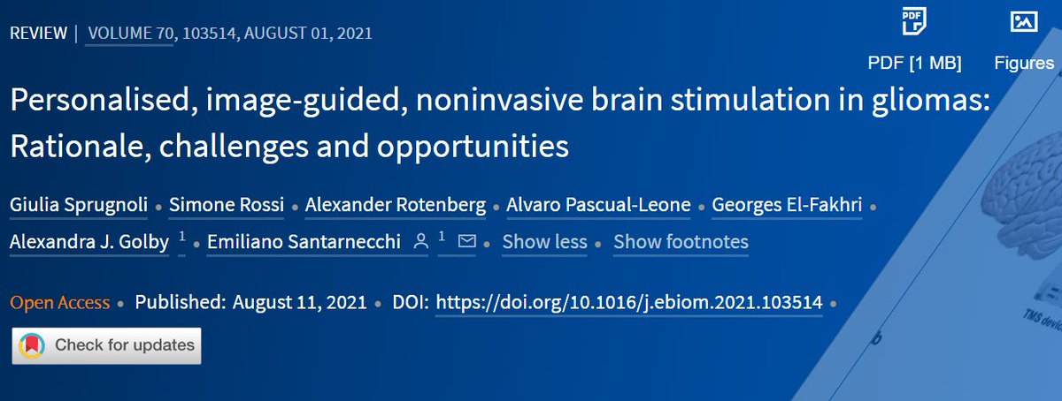 Featured in our Aug issue: Sprugnoli et al. reviews the molecular, cellular &amp; network mechanisms for potential applications of noninvasive brain stimulation #NIBS in #glioma, providing a conceptual framework for future research #TMS #tes 

Read bit.ly/3l5YPPh