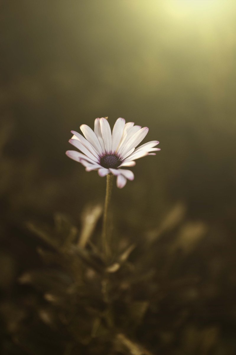 Geetu_Khemlani's tweet image. 