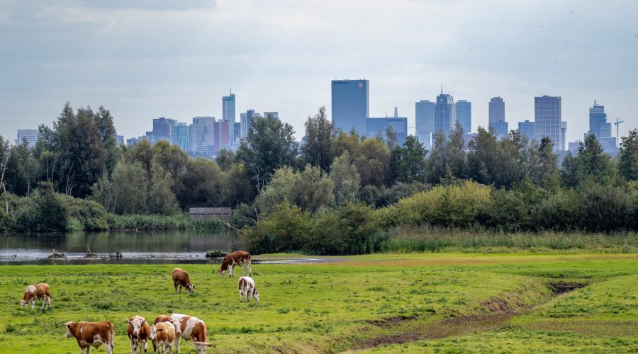 Groen doet veel goeds voor de #gezondheid: Hoe meer #groen in de woonomgeving, hoe minder mensen naar de huisarts gaan. Maar hoe zit dat precies?

Later dit jaar vertelt drs. @iAnnettePostma van @AiGezondheid er meer over. #Gezond010 sprak alvast met haar: gezond010.nl/meer-groen-min…