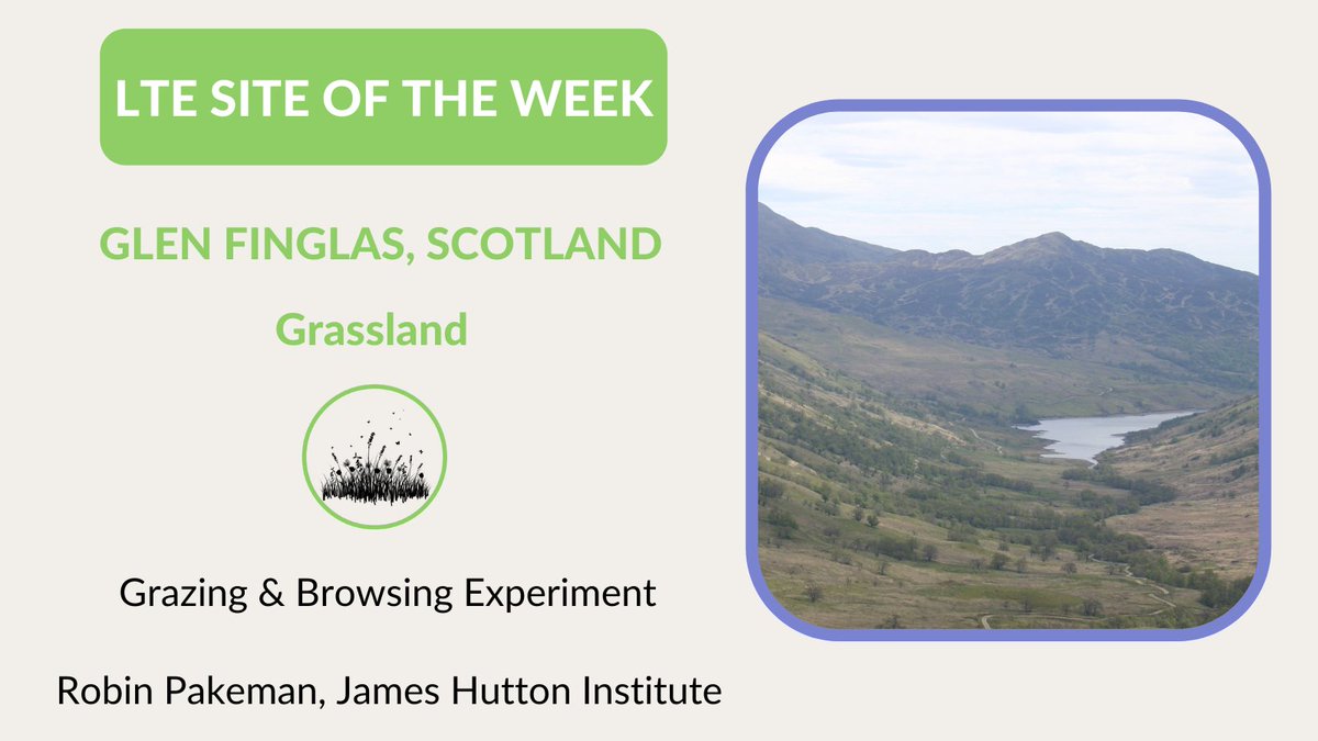 ECT_UK's tweet photo. #GlenFinglas, #Scotland is the #LTESiteOfTheWeek. Robin Pakeman is conducting a #grazing & #browing #experiment at this #grassland site https://t.co/dNwKLjPFlN Listen to Robin talk at our #webinar https://t.co/3Uy4NjDJpR @RobinPakeman @JenniStockan @JamesHuttonInst @WoodlandTrust https://t.co/KHCSA9NveV