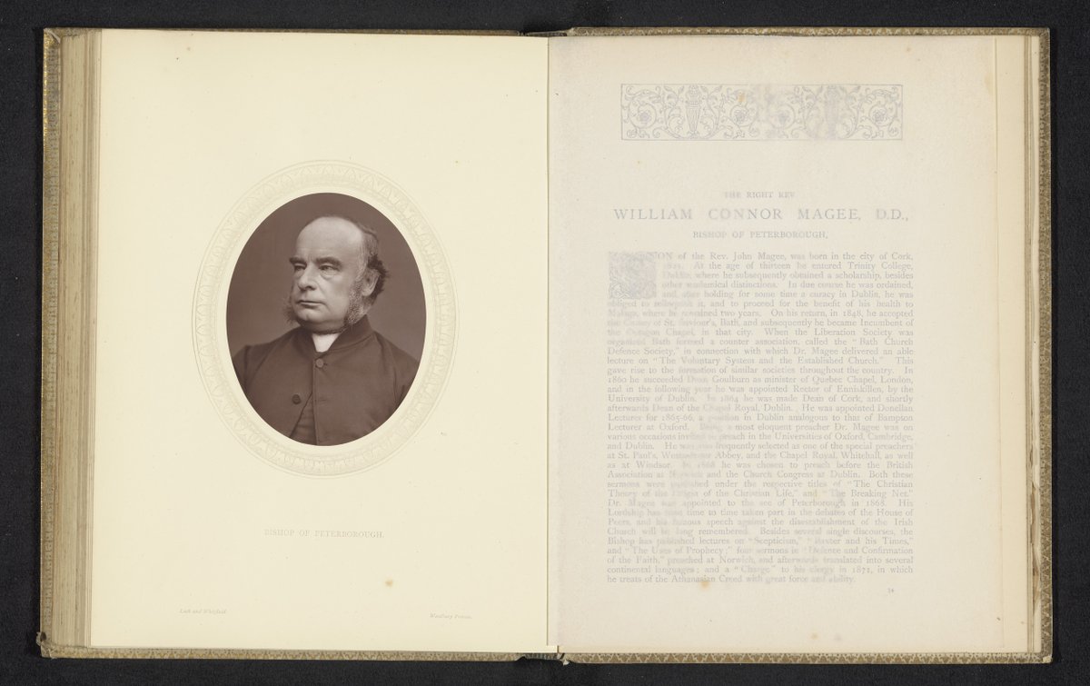 Rijks Bot tweet media