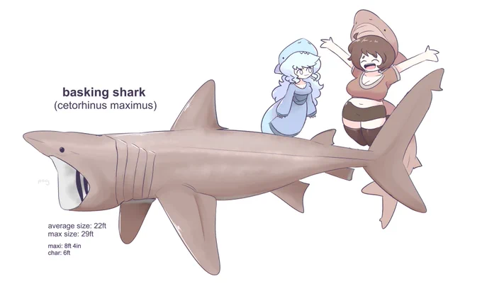 i'm back! let's learn about the one and only pog shark, the basking shark!

with maxi (and char, again) 