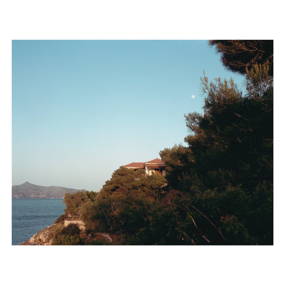 stratosmononym's tweet image. Village Hidden in the Leaves 🍃 

.........
.........

📸: RZ67 🪐
🎞: @Kodak Portra 400