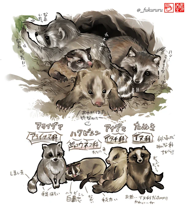 同じ穴のムジナ
ムジナ=アナグマ(混同たぬき)+よく似たハクビシン・アライグマを添えて。

この前野生のアナグマを見たけど、本当にえ?タヌキ?う…ウリ坊?ってなって図鑑見ないとわからなかったので描き分けメモ。もふもふ。 