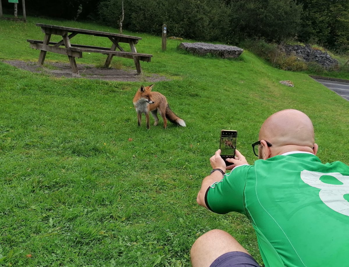 ianwrightcfc's tweet image. Little bit of nature on culky mountain not very often they come this close.