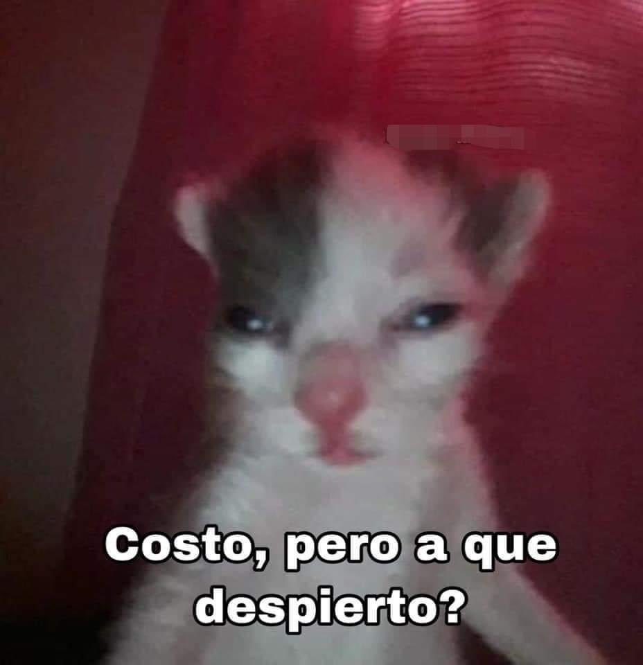 SuavesLomitos's tweet photo. https://t.co/5CkfGKfj4y