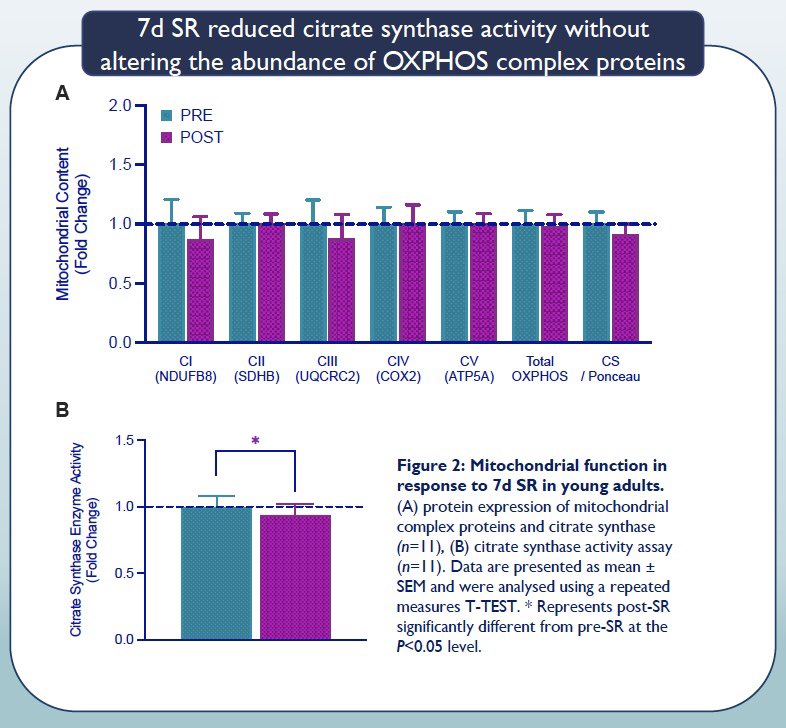 Excited to be sharing the remaining data of my thesis <a href="/E_C_S_S/">ECSS</a> #ECSS2021. 

Interested to see whether a 7d step reduction intervention is enough to alter skeletal muscle markers of oxidative metabolism in young adults? 

Check out our poster presentation in session CP-PN01.