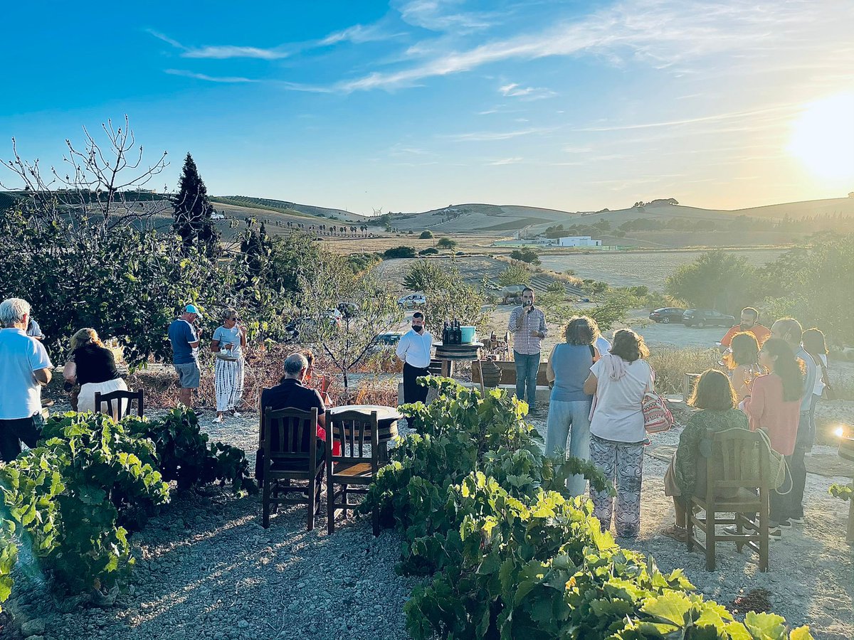 winable_es's tweet photo. ¿Te imaginas una celebración sin vino? ¡Nosotros no! Porque el vino es historia, es cultura, es alegría... y muchísimas cosas más. 🥂

📸 @FranGarces10 https://t.co/QHwVbrM9NW
