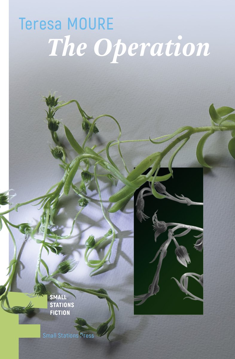 Our adult fiction titles coming out this autumn! For further information, please visit our website, smallstations.com