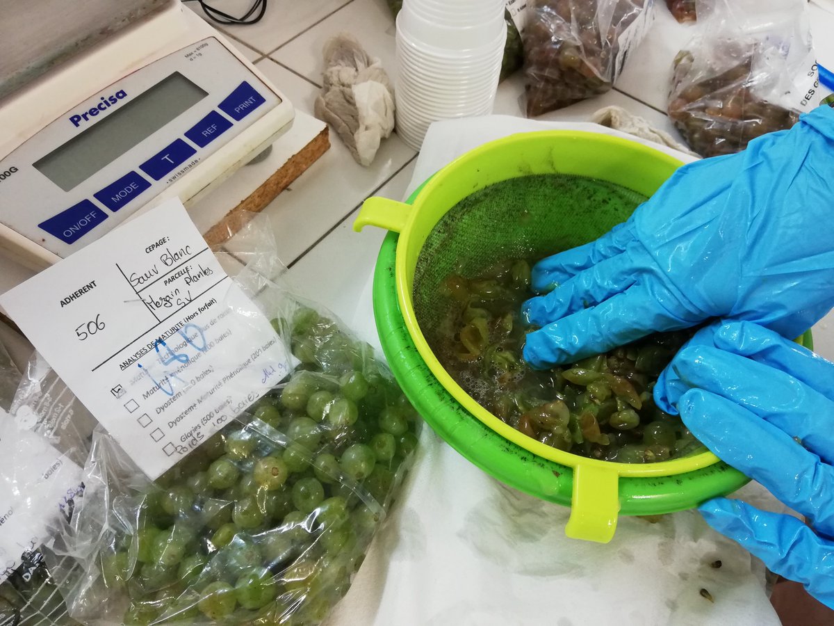 Pascal Hénot tweet media